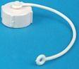FP-RV-cap-and-strap-th.JPG