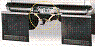 mfss-fs-th.gif
