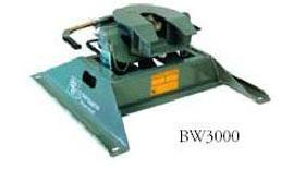 BW3000.jpg