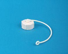 FP-RV-cap-and-strap.JPG